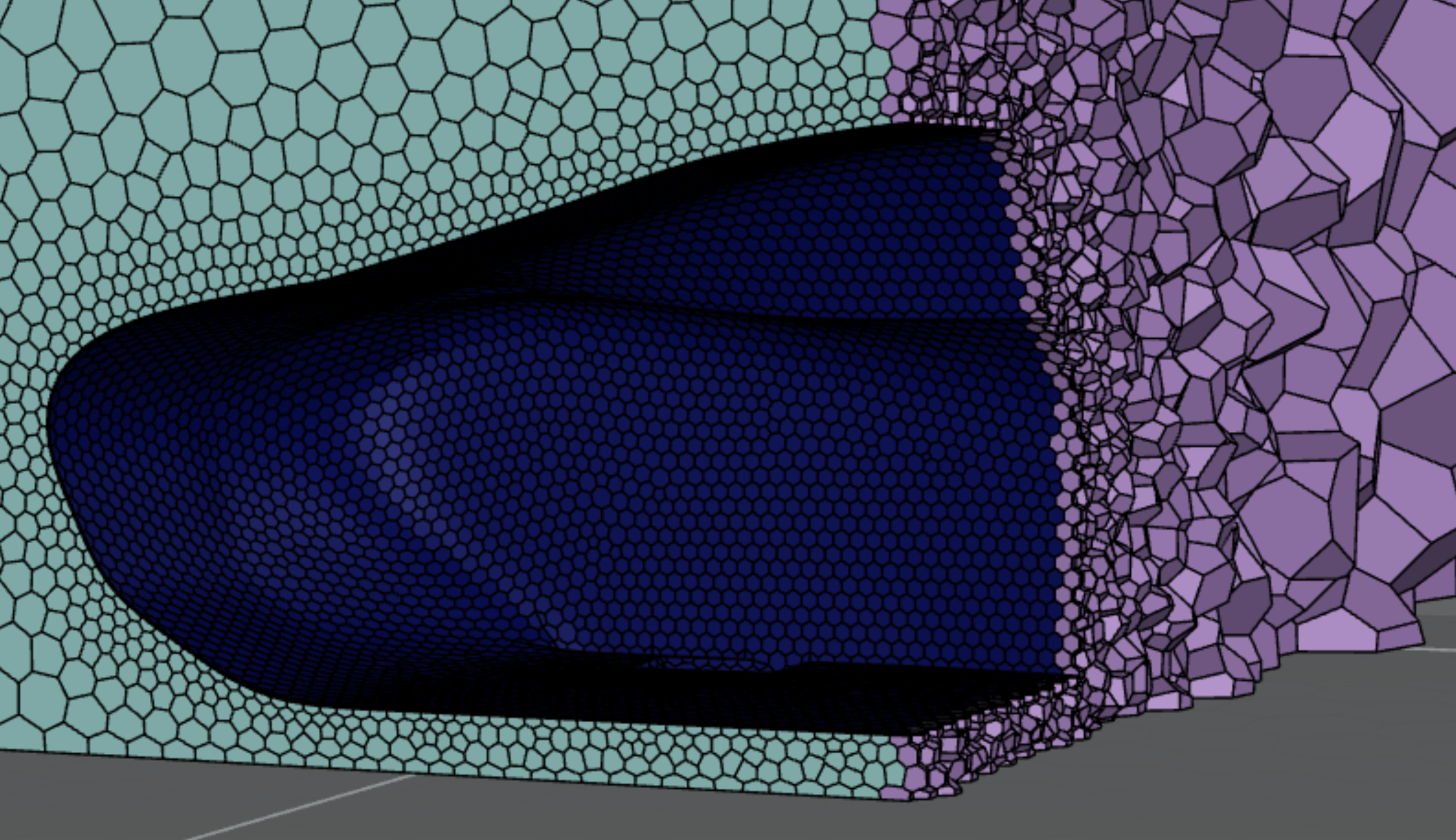CFD mesh